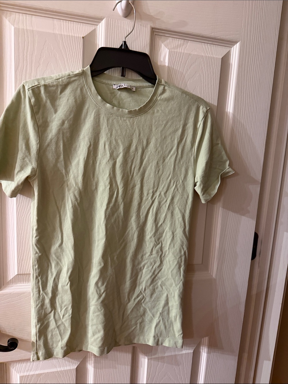 Zara Men's Short Sleeve Crew Tee in Pale Green